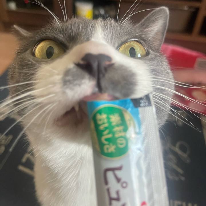 C2f4bfa1 b3c2 4313 b955 ab05d51efe01 1724654731183