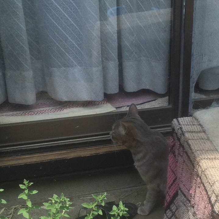 C2f4f4da c26c 4c28 afa4 b636d2856635 1556969771005