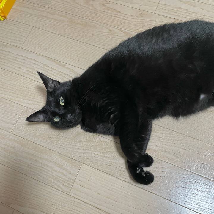 C2f507e3 096b 44be 8be2 19fc09ff5fbe 1731413766228