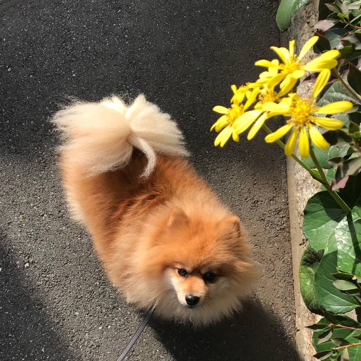 C2f51db2 679c 4ef4 a378 dea562d89d9d 1509497715054