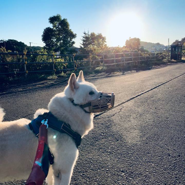 C2f53dea 73e2 4322 92e6 09e62c08ac7e 1663796316026