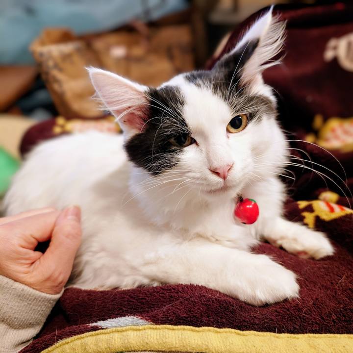 C2f546df abce 4a6b ac62 ff516db9de66 1764229321095