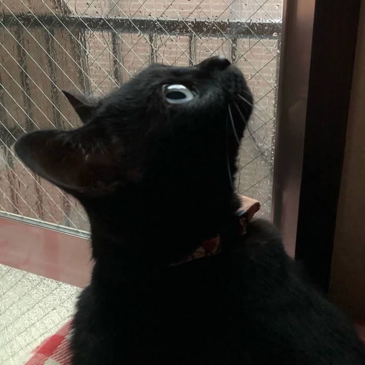 C2f548c2 5a2b 402d b91b 51e07627b8d8 1594164614630