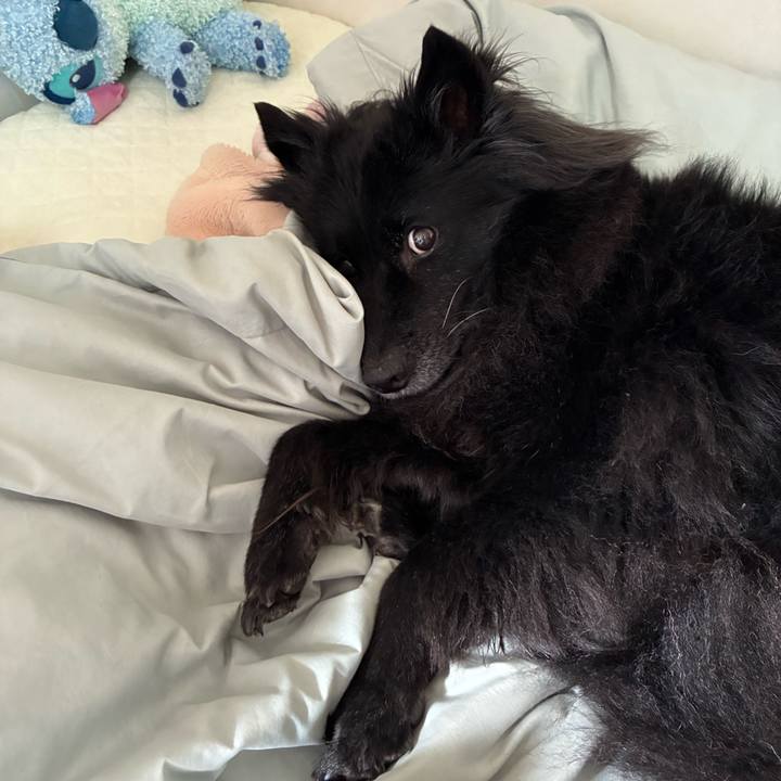 C2f566bf 8e9e 424b 84cf 1c016d0d60fe 1772669666625