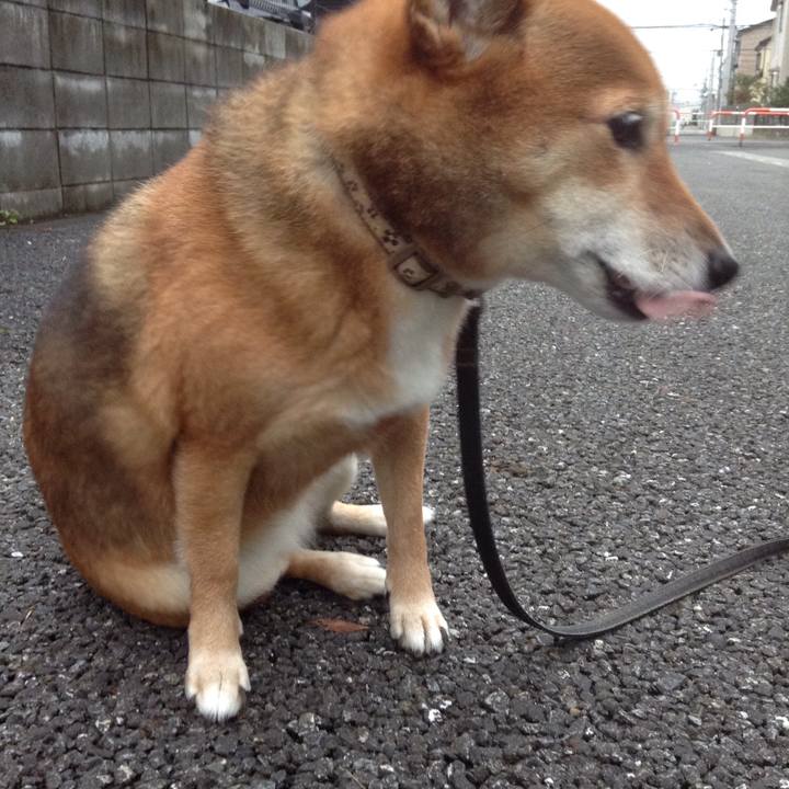 C2f579eb 0d50 42c6 a02a 7785188f5f0c 1508487643741