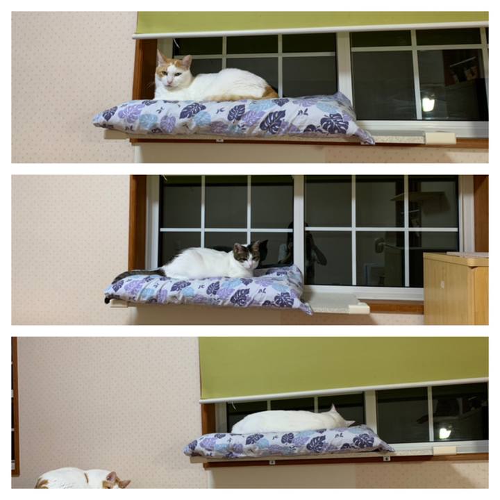 C2f5f9df e5e6 4e4c ba9a 371a68304669 1634759486368