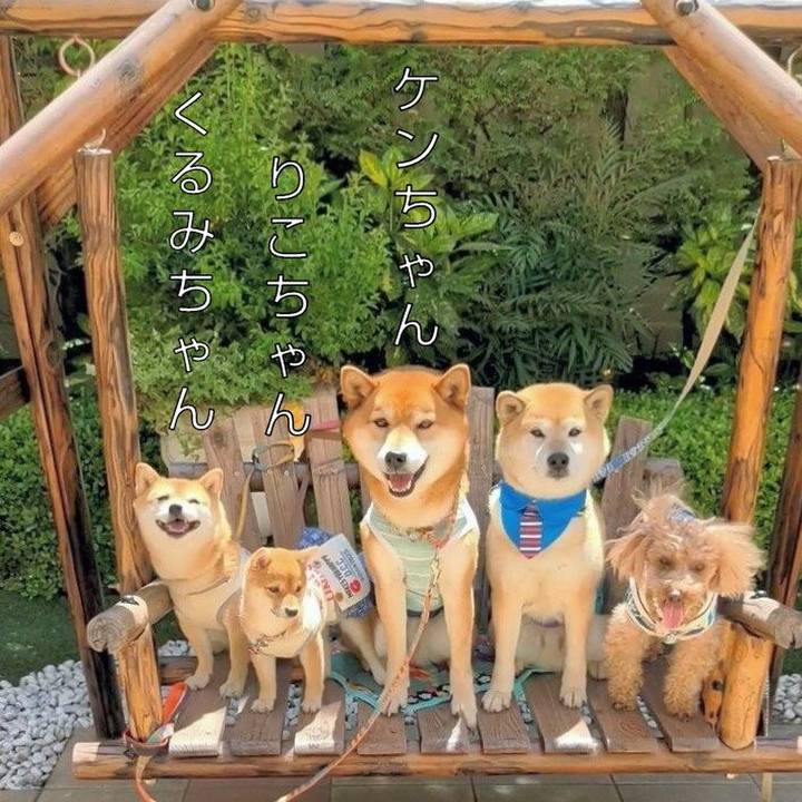 C2f60842 f03b 4f54 9d05 4ce958d273a1 1619076855081