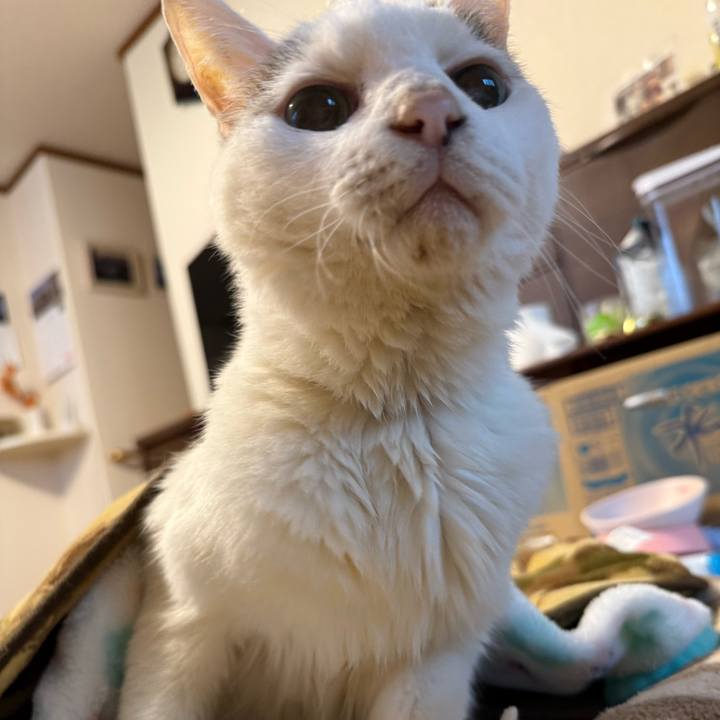 C2f655f8 6fd3 42ee 892b 0b769180d153 1761269296168