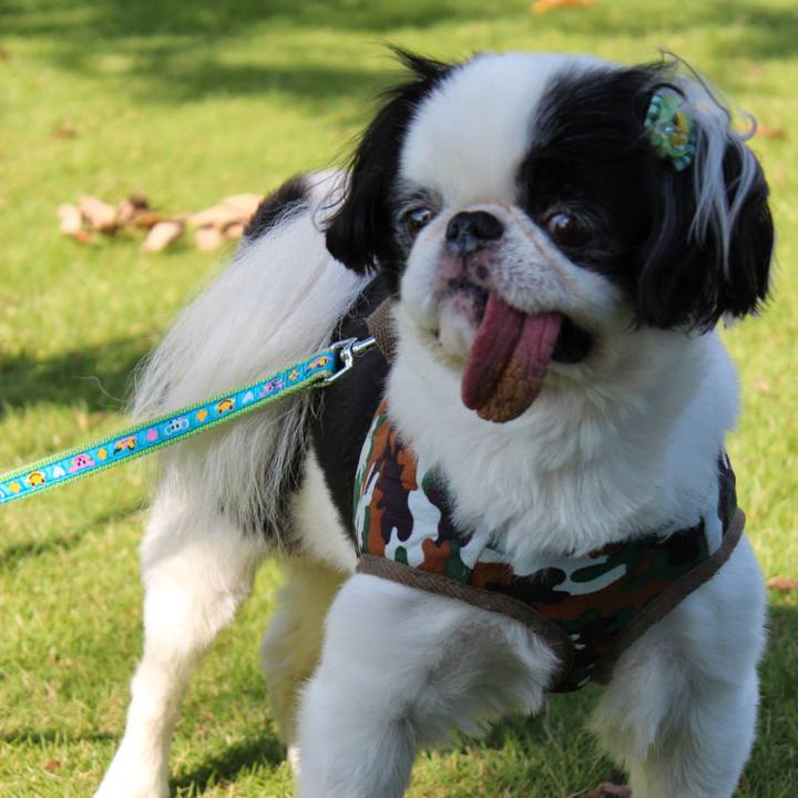 C2f661d0 153d 4c5e 9496 1d18630ad42a 1569121721912