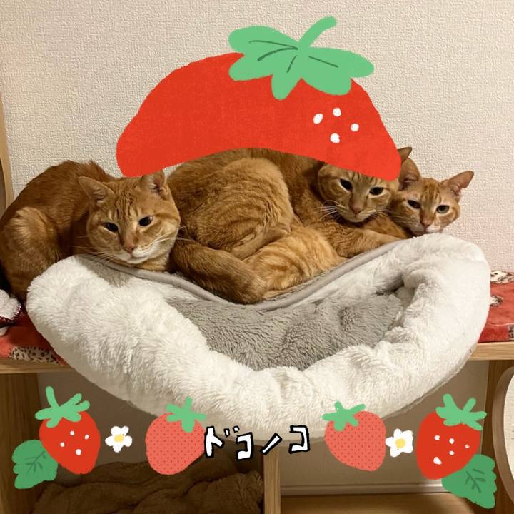 C2f67ca1 ff2b 4a84 8d80 64ae4667984a 1775210604435