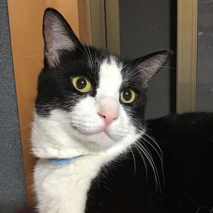 C2f6b7d4 d82e 4cc0 b747 df482cf408ea 1727436401824