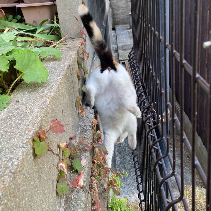 C2f6f251 f614 4d37 a225 9c49077d332e 1637449949580