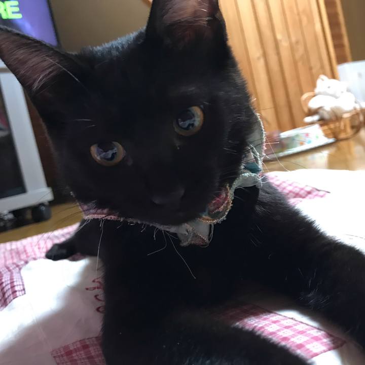 C2f72298 8b6c 4d0c a505 16149547b20f 1568286007715