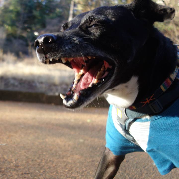 C2f724b6 454c 4e28 97b5 1d7abb90d441 1704676453063