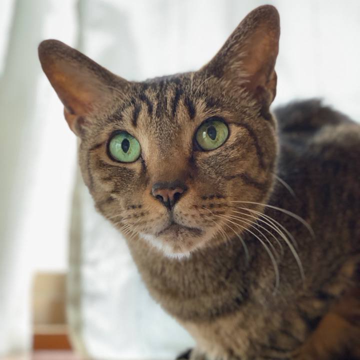 C2f7793c a1f6 49ef 89c1 75e03acb230b 1588470563260