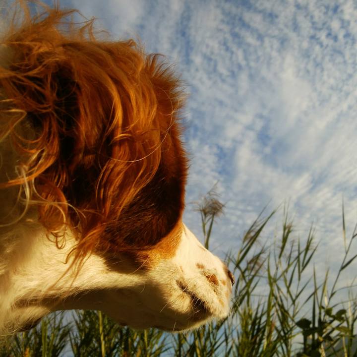 C2f7853e 67b5 4229 b657 bec7d042da4f 1541034269121