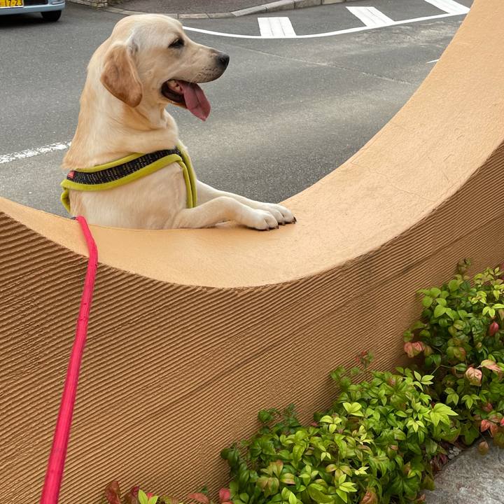 C2f7a4f1 ab1b 44bd b6d9 5dcfca73f400 1632815120657