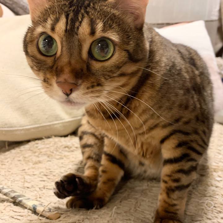 C2f7ca3b 50c3 40cb 8599 8351f152bd2d 1604012766530