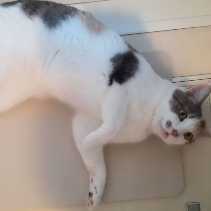 C2f7d75c e612 4315 9b71 11d9804d7c72 1532821469092