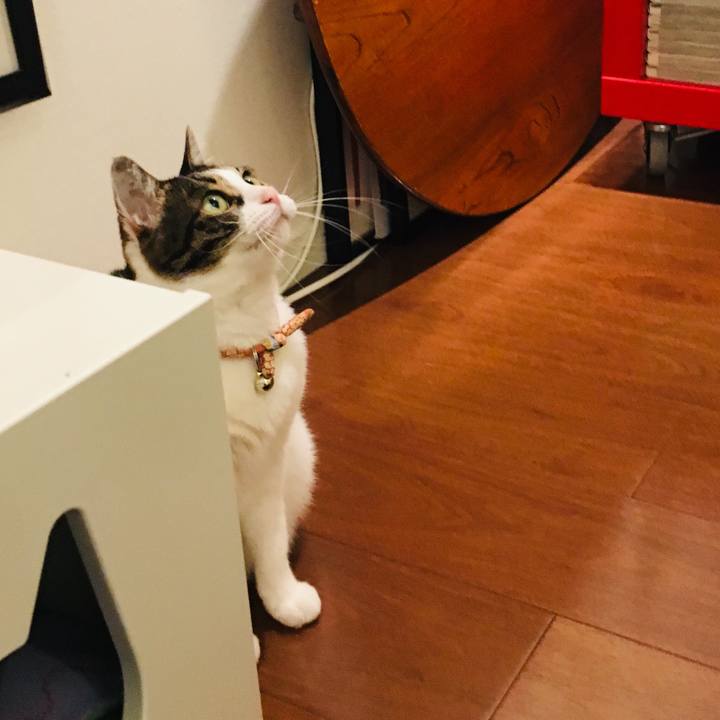 C2f7e1c5 1d0e 4b2a b9e9 eb53da119cd4 1593171434102