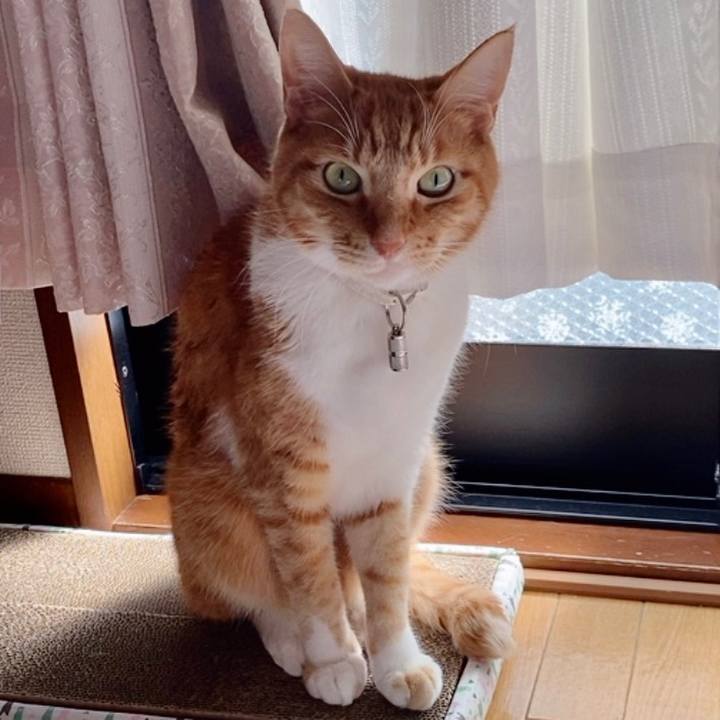 C2f7e468 f409 4b3f a653 3fea07e63365 1680335726962