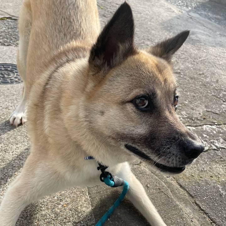 C2f7fd36 ede1 4627 bf87 3e1f7c827242 1688473508174