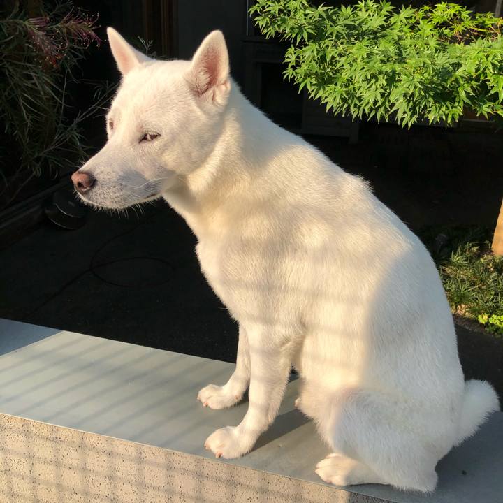 C2f81471 0a88 4798 bb29 20c316e4126f 1591521573708