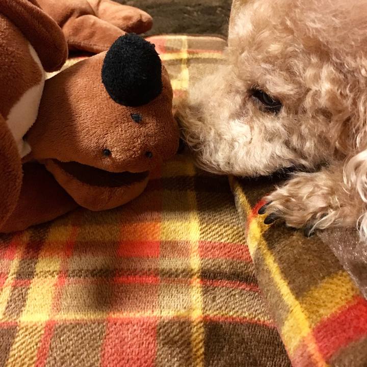 C2f82a08 401e 4c13 a9bb 843494272d5b 1508147191645