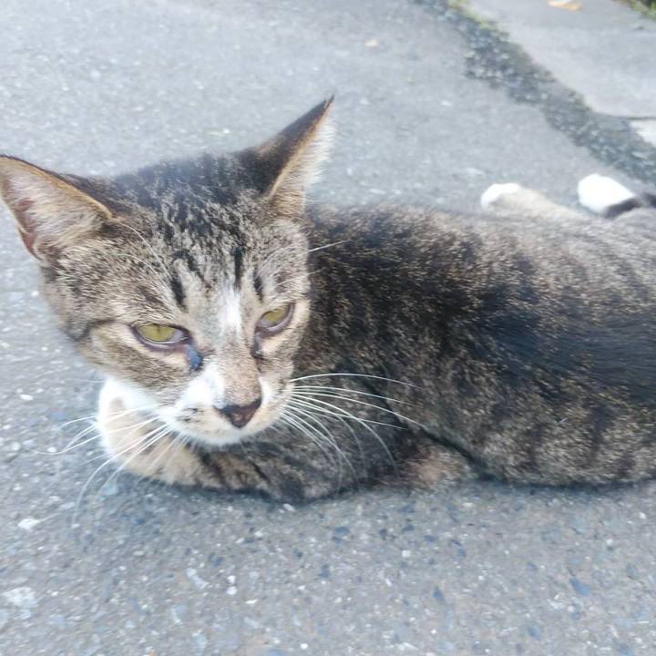 C2f8329b fd36 43ff 8bfc 00de933f70d6 1568074569445