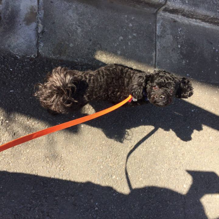 C2f84851 6b85 471b a9d0 726d5bb6a609 1519167315562