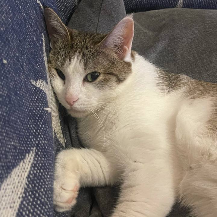 C2f851ac fafe 4b81 b44f fdc6ae35974d 1627383504399