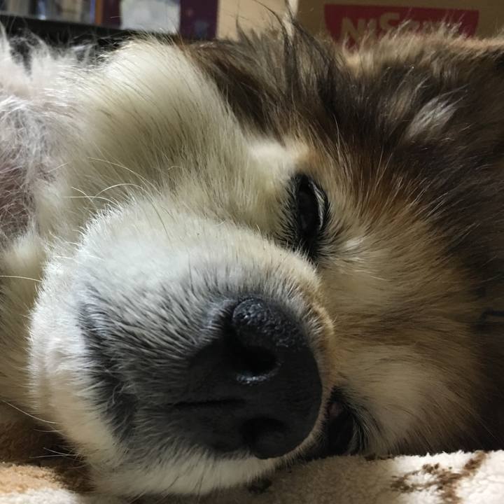 C2f878da 0acc 4899 a66e 67209243502f 1549860782673