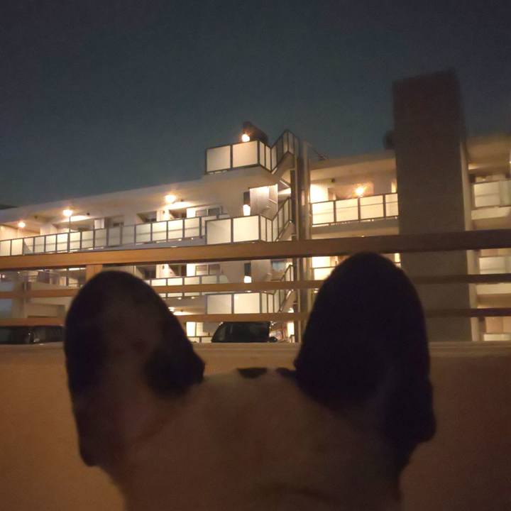 C2f8a8ee 233c 4741 a20d 32a189c17943 1683716699225