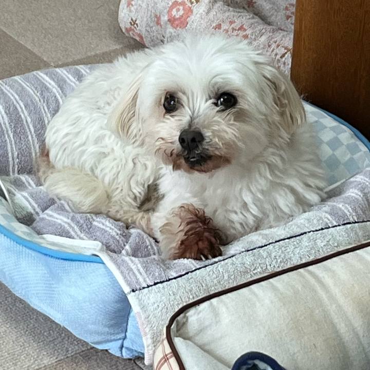 C2f8c8bd ce4a 461a 812a a8e080b32c07 1686816002584