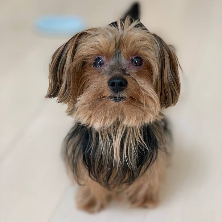 C2f8d095 4ce9 44a5 bb3b 25f204521093 1544682165493