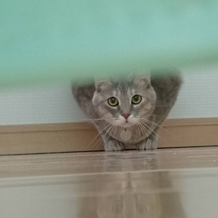 C2f91f5a dd58 4f16 b4ff 9883c0ec2604 1547795819125