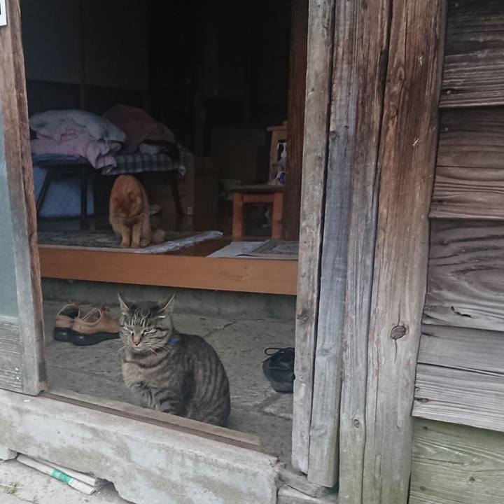 C2f938d2 6de4 4235 bd18 287d0724b98d 1654462730501