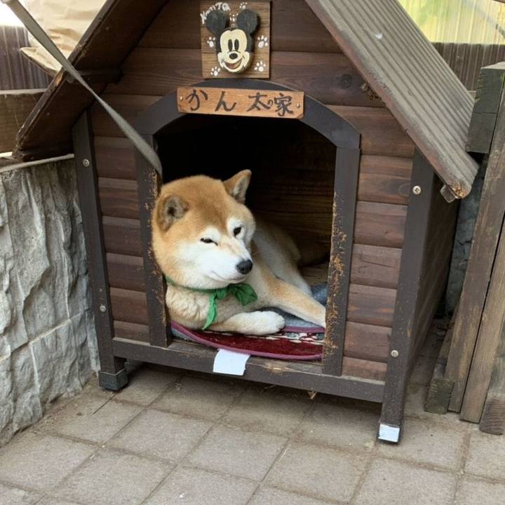 C2f939a2 a112 40cb 9362 562ec9563c22 1557914107257