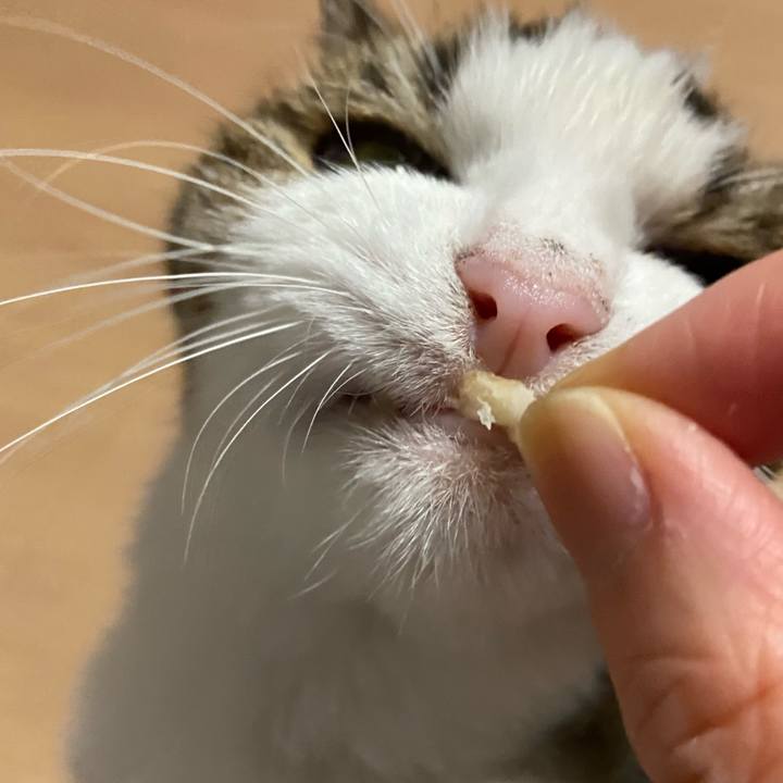 C2f94ddc 0b93 4e49 9d09 925f1d14b686 1594214642829