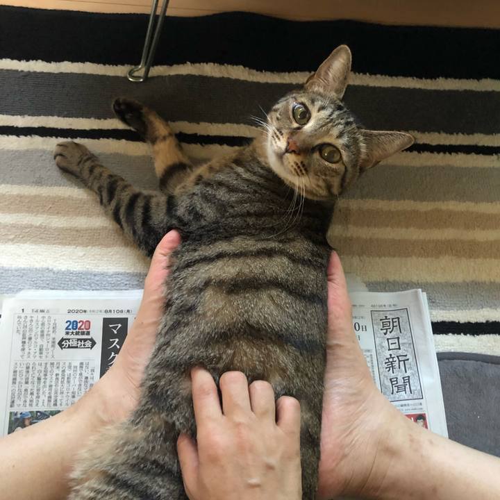 C2f95cbe ee5f 453e 9427 c725d0a55c87 1598623355916