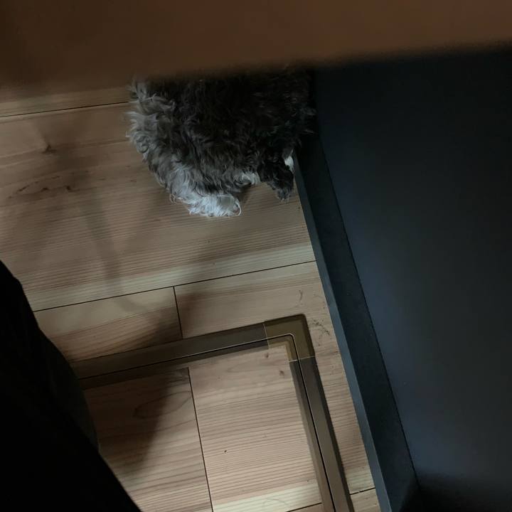 C2f9693a 7294 4976 aadb b6775c4a39e2 1651555000848