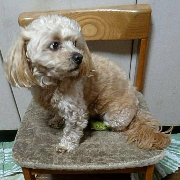 C2f97c1f de9e 4993 8cbc e01db32abf22 1523351904289