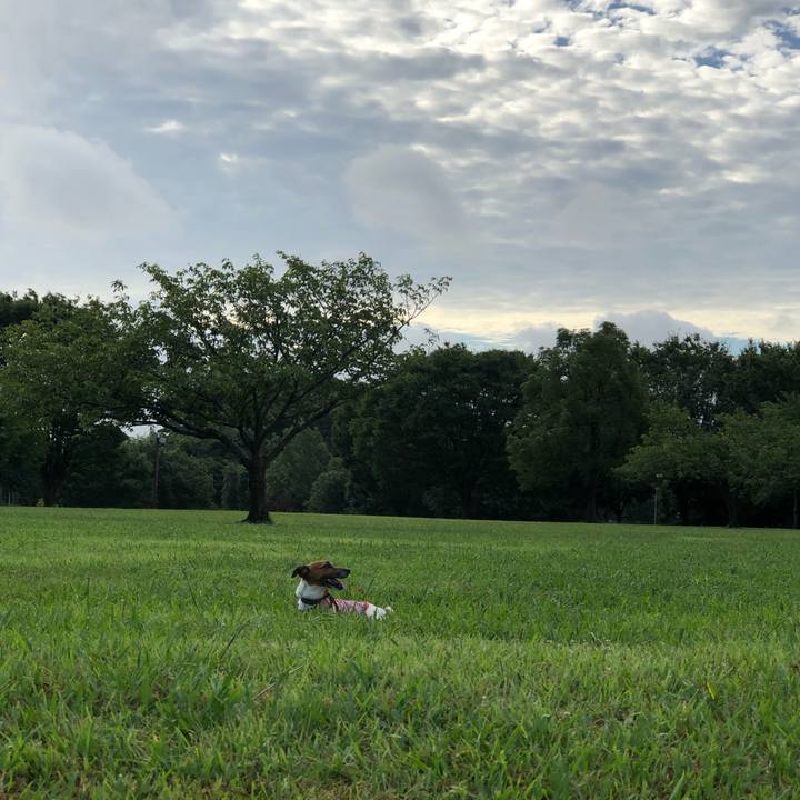 C2f98389 dca0 449b 8033 abc0cec910f4 1565218988006