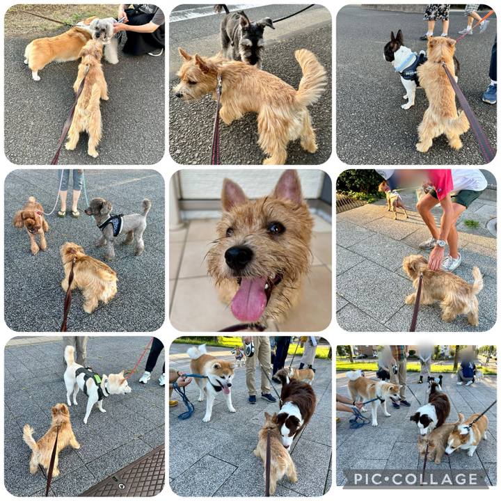 C2f986e5 893d 4498 96b8 8cc93435f8a9 1726148510982