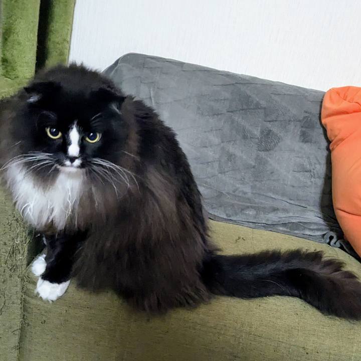 C2f987d5 1b9c 4166 ae0a 5c5c08754a30 1731621151395