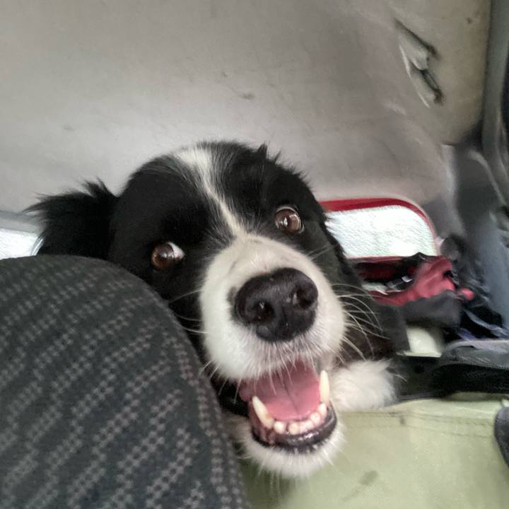 C2f9a3aa 0beb 49f3 b5a5 d94ac4d4cb08 1621030250005