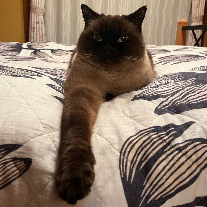 C2f9b3d4 18f5 4e7b bdf7 f0ce9ae2e391 1672921050620