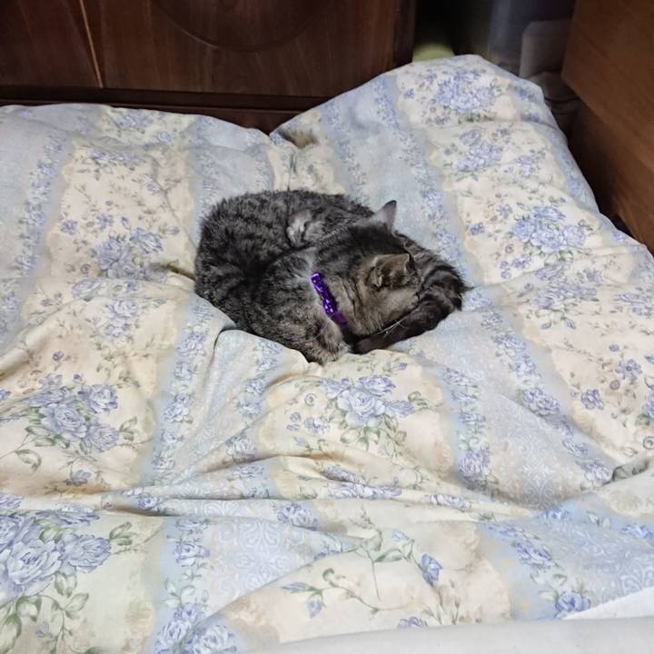 C2f9dffb c616 485c bc77 4265e025572e 1580127225564