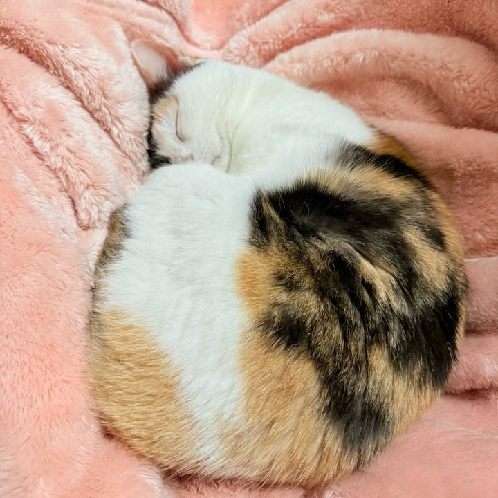 C2f9ec1e caff 4940 a3d2 3fda33a52d14 1732155415475