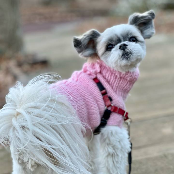 C2f9f09f 23d9 4ff4 aeef 2fabc969afd1 1640671971044